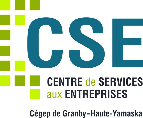 Logo couleur CSE