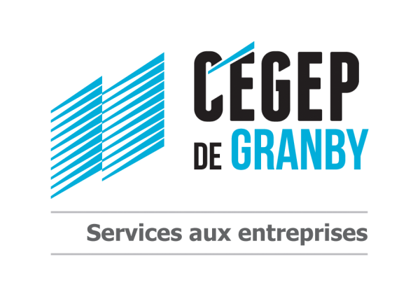 ServicesAuxEntreprises_Couleur_FondTransparent