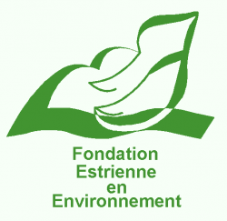 logo fondation