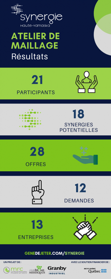 Atelier de maillage infographics (1)